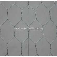 1'' Hot-dip Galvanized Hexagonal Wire Nettings